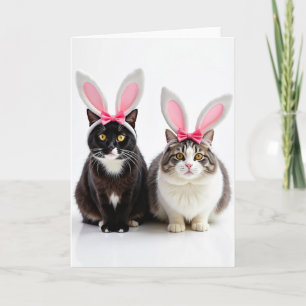 Elegante Katzen-Geburtstagskarte Karte