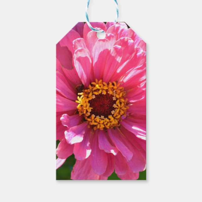 Elegante klassische Blume mit rosa Blumen Geschenkanhänger (Vorderseite)