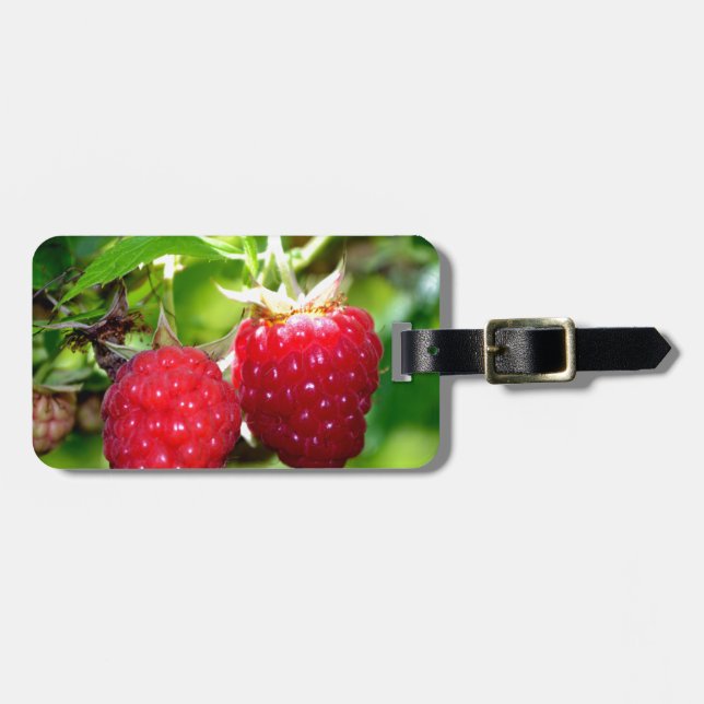 Elegante klassische Himbeeren Gepäckanhänger (Vorderseite horizontal)
