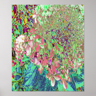 Elegante Korallen und Chartreuse Limelight Hydrang Poster