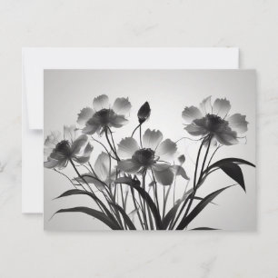 Elegante Kosmos-Blume in Bloom Postkarte