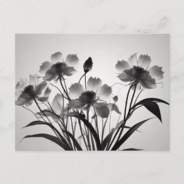 Elegante Kosmos-Blume in Bloom Postkarte