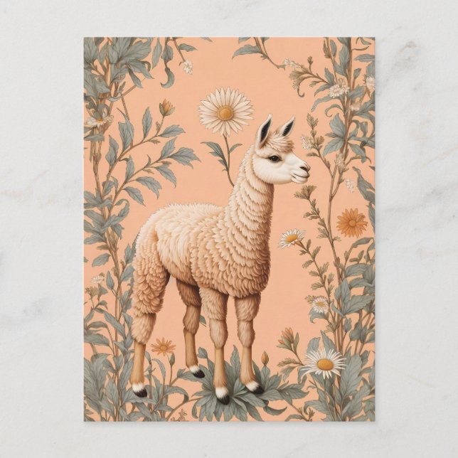 Elegante Lama und Daisy Blume auf Peach Postkarte (Vorderseite)
