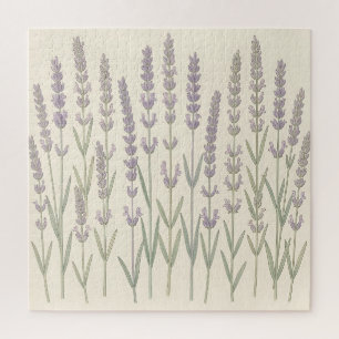 Elegante Lavendelstiele Sanftes Violett Botanisch