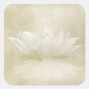 Elegante leichte weißer Lotos-/Lilien-Blume Quadratischer Aufkleber
