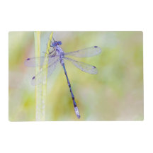 Elegante Libellen-Aquarell-Malerei