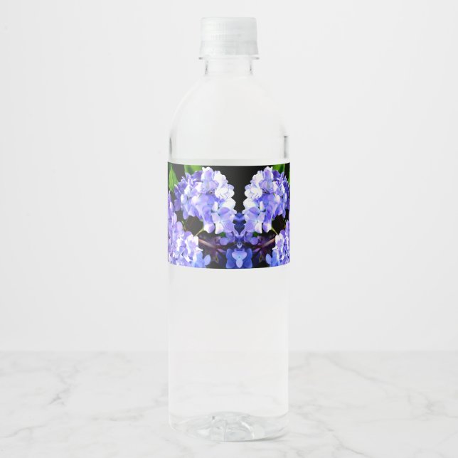 Elegante lila, blühende lila Hydrangeas (Vorderseite)