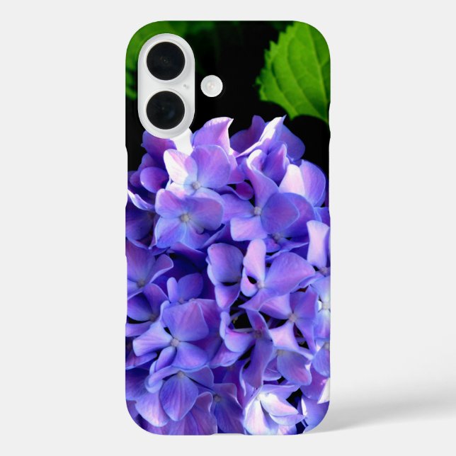 Elegante lila, blühende lila Hydrangeas iPhone 16 Hülle (Rückseite)