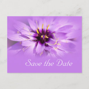 Elegante lila Blume Save the Date Postkarte