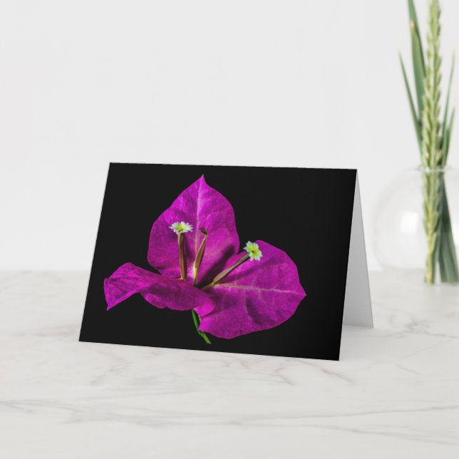 Elegante Lila Bougainvillea Karte (Vorderseite)