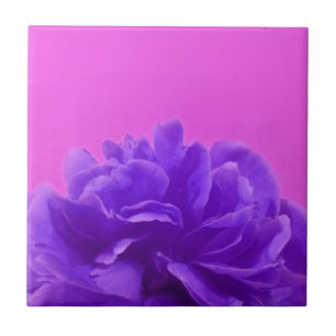 Elegante lila Himbeer-Blumen Fliese