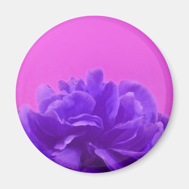 Elegante Lila Himbeere Magnet (Vorne)