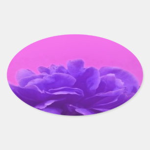 Elegante Lila Himbeere Ovaler Aufkleber