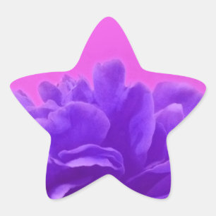 Elegante Lila Himbeere Stern-Aufkleber