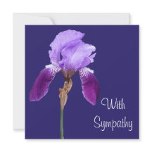 Elegante lila Iris Blume Rodelbahn mit Aussicht Be