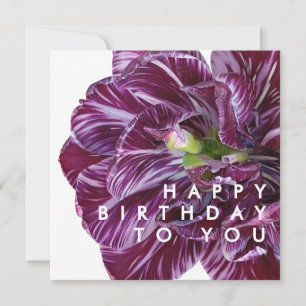 Elegante lila Tulpen-Blumen-Happy Birthday Karte