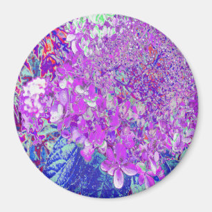 Elegante lila und blaue Limelight-Hortensie Magnet