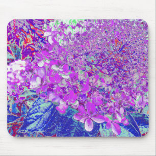 Elegante lila und blaue Limelight-Hortensie Mousepad