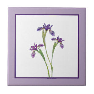 Elegante Lila Wasserfarben Iris Blume Botanisch Fliese