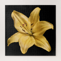 Elegante Lily-Kollektion auf Schwarz