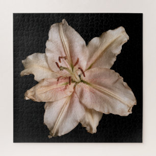 Elegante Lily-Kollektion auf Schwarz