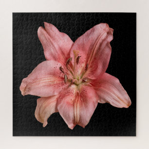 Elegante Lily-Kollektion auf Schwarz