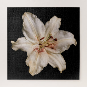 Elegante Lily-Kollektion auf Schwarz