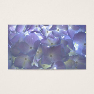 Elégante lumière douce mauve florale mauve hydrang
