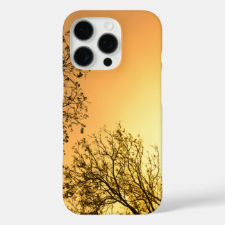 Elegante natürliche Schönheit iPhone 16 Pro Hülle