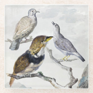 Elegante neutrale Ton Vögel auf Ast Kunst Glasuntersetzer