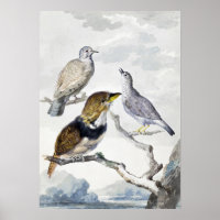 Elegante neutrale Ton Vögel auf Ast Kunst