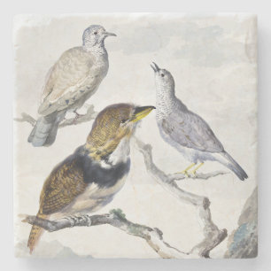 Elegante neutrale Ton Vögel auf Ast Kunst Steinuntersetzer