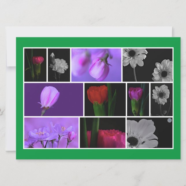 Elegante, Niedliche Blume FotoCollage auf Kelly Gr (Vorderseite)