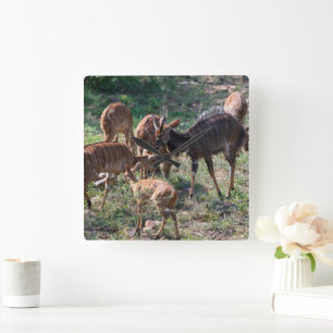 Elegante Nyala-Antilope in Afrika Quadratische Wanduhr