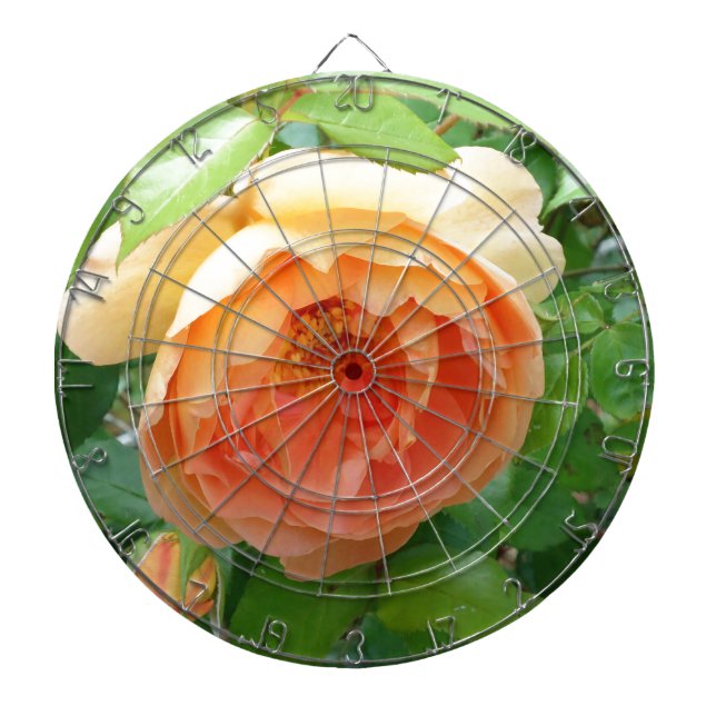 Elegante Orange Blush Rose Dartscheibe (vorne)