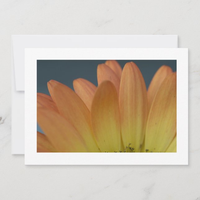 Elegante Orange Petal Custom Einladung (Vorderseite)