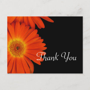 Elegante orangefarbene Gerbera-Daisy-Blumen als Ho Postkarte