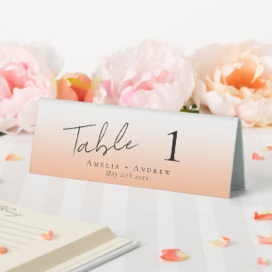 Elegante Peach Orange Fuzz Wedding Tischnummer Tischaufsteller