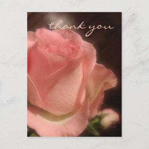 Elegante Peach Rose - Vielen Dank Postcard Postkarte