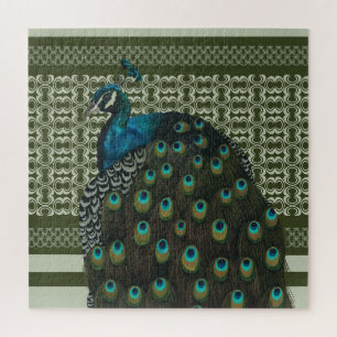 Elegante Peacock Bird Bird Liebhaber