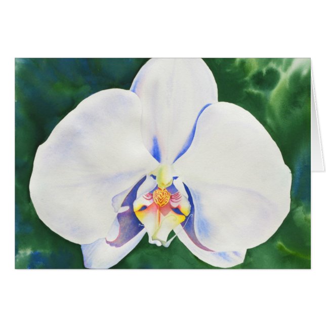 Elégante peinture d'orchidée blanche (Devant horizontal)
