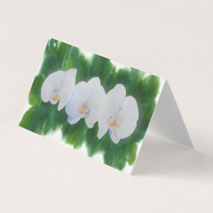 Elégante peinture d'orchidée tropicale blanche