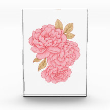 Elegante Peonies - sanft rosa Blumendarstellung