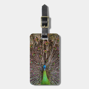 Elegante Pfauen-Vogel- und Feder-Kunst Gepäckanhänger