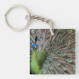 Elegante Pfauen-Vogel- und Feder-Kunst Schlüsselanhänger