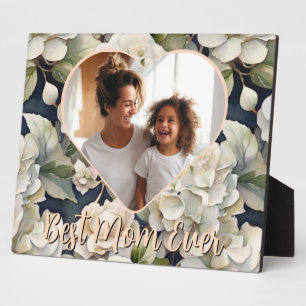 Elegante Pfirsichcreme Frische Pasta machen Best M Fotoplatte