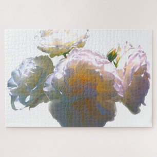 Elegante, pfirsichorange Rose