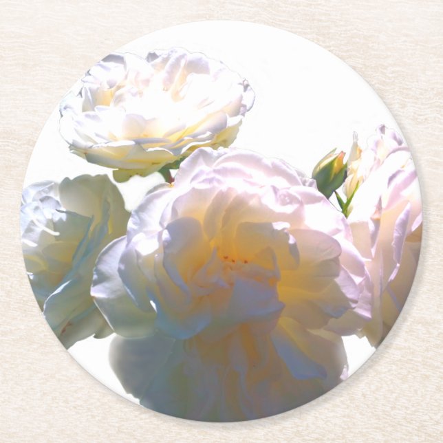 Elegante, pfirsichorange Rose Runder Pappuntersetzer (Vorderseite)