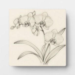 Elegante Phalaenopsis-Orchideen-Linienkunst Fotoplatte