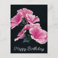Elegante Pink Hollyhock Malva Blume